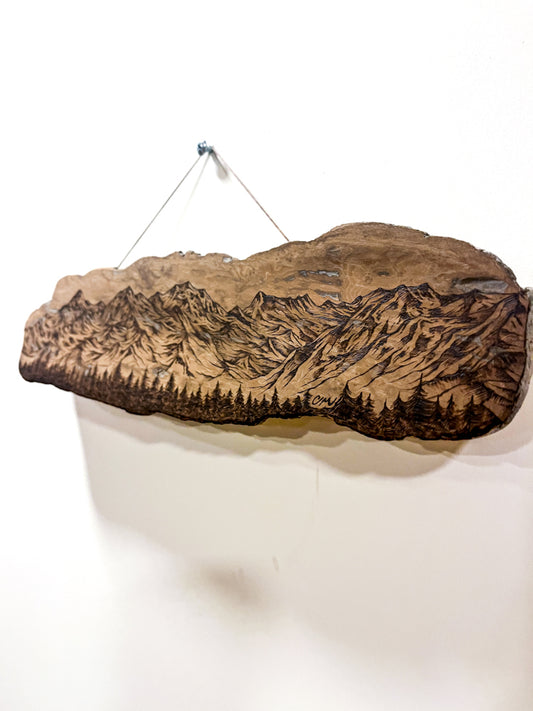 Chilkat Range