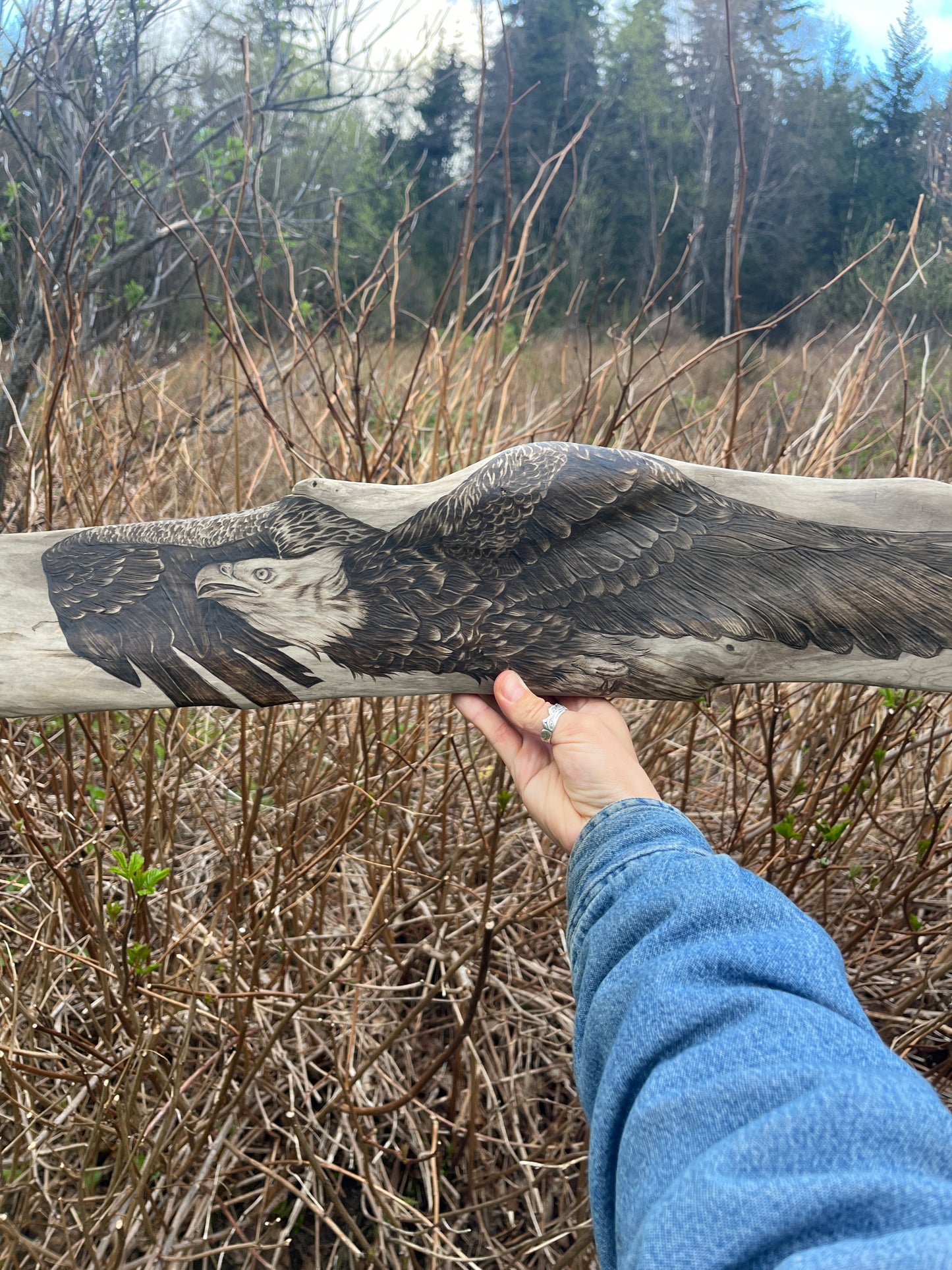Eagle in Flight