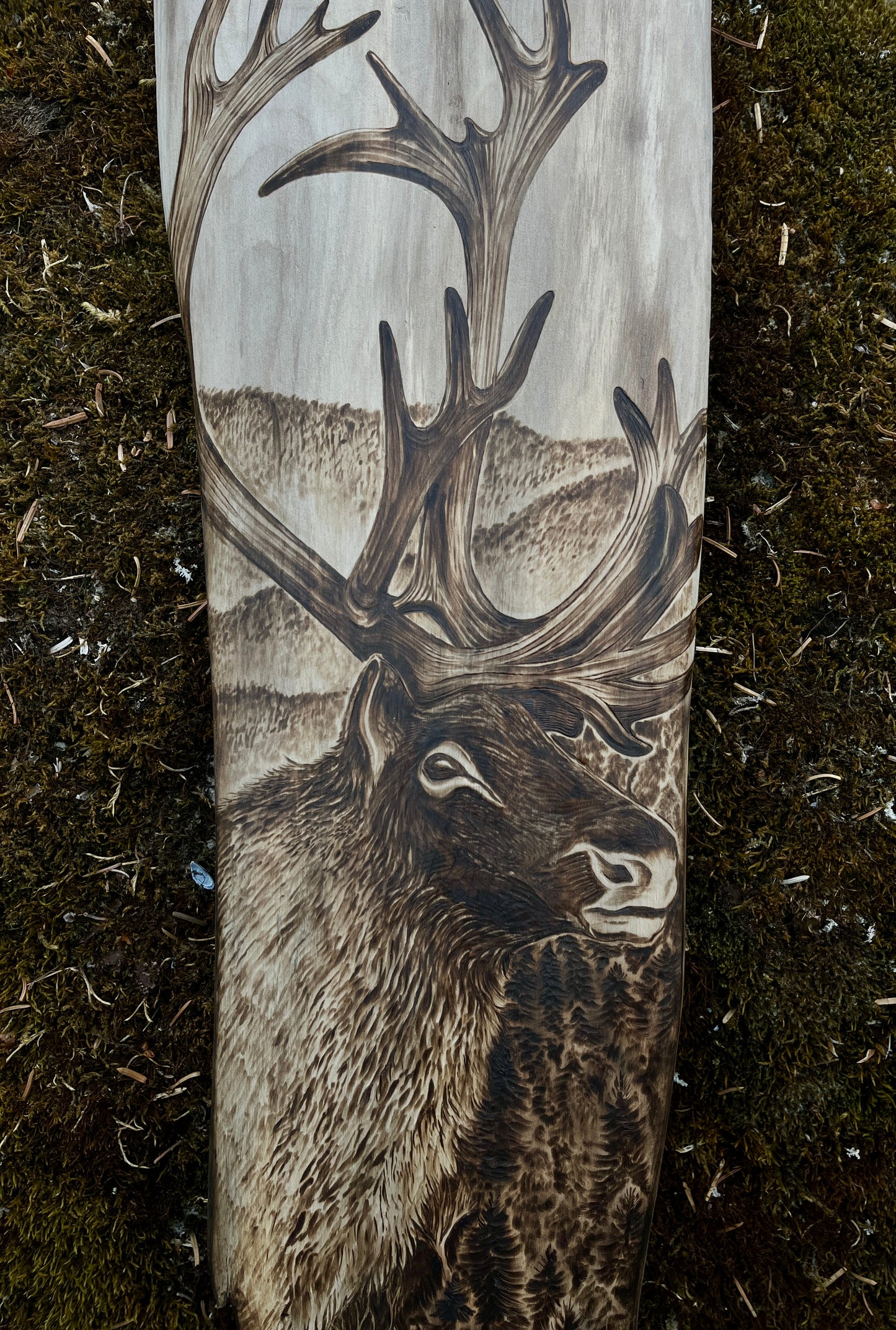 Carcross Caribou