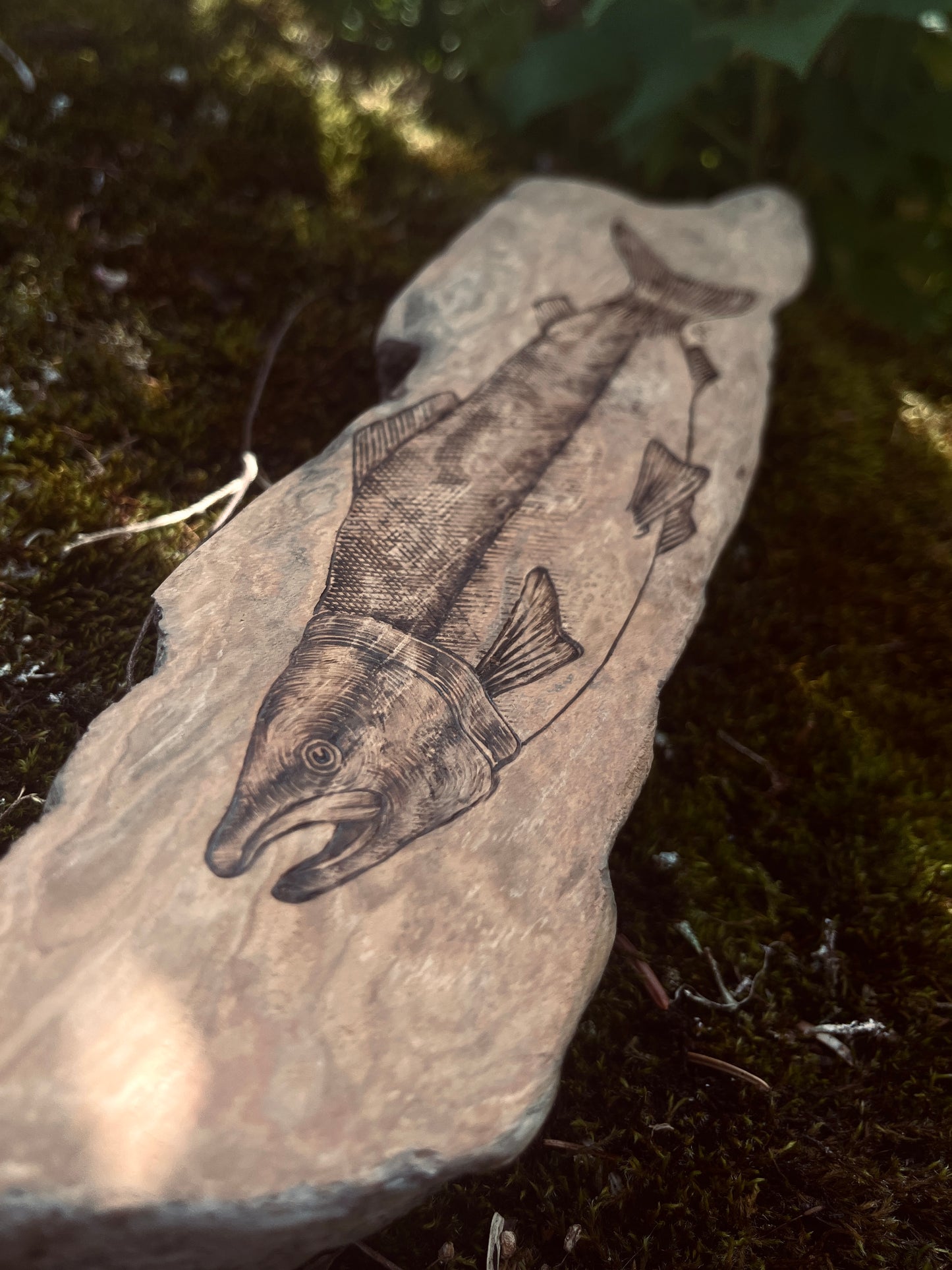 Sockeye Salmon