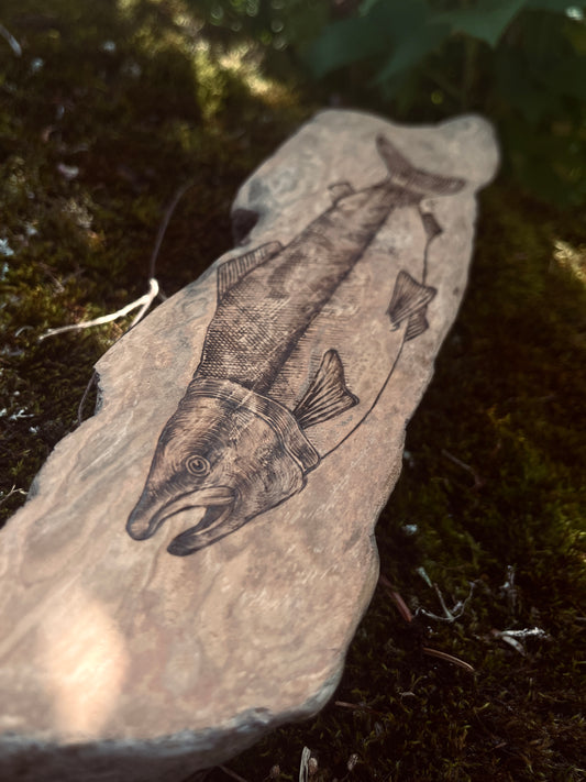 Sockeye Salmon