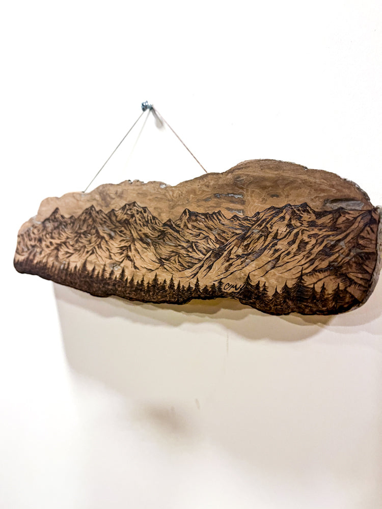 Chilkat Range
